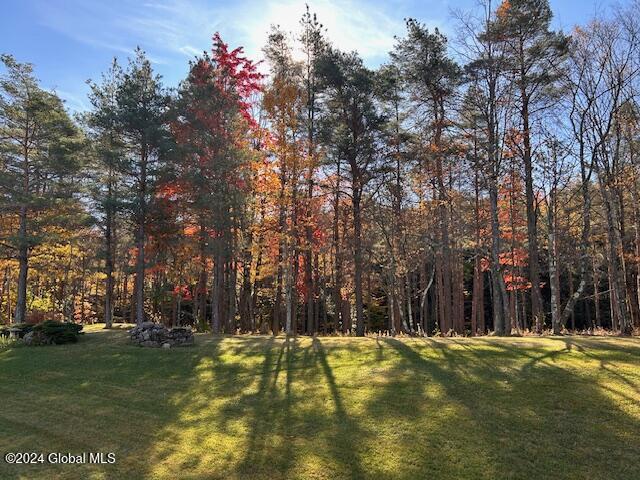 1791 Skyline Dr Dr, Duanesburg, New York image 17