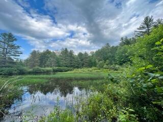 Lot 4 Mcgregor Road, Gloversville, New York image 4