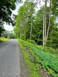 Lot 4 Mcgregor Road, Gloversville, New York image 11