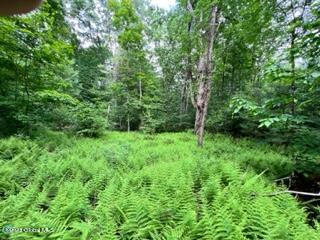 Lot 4 Mcgregor Road, Gloversville, New York image 9