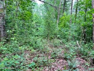 Lot 4 Mcgregor Road, Gloversville, New York image 7