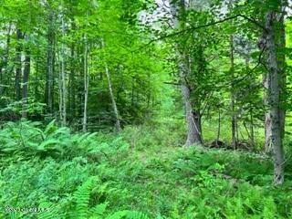 Lot 4 Mcgregor Road, Gloversville, New York image 2