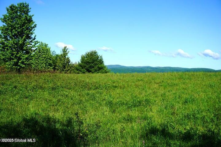 L26 W Fulton Road, Richmondville, New York image 11