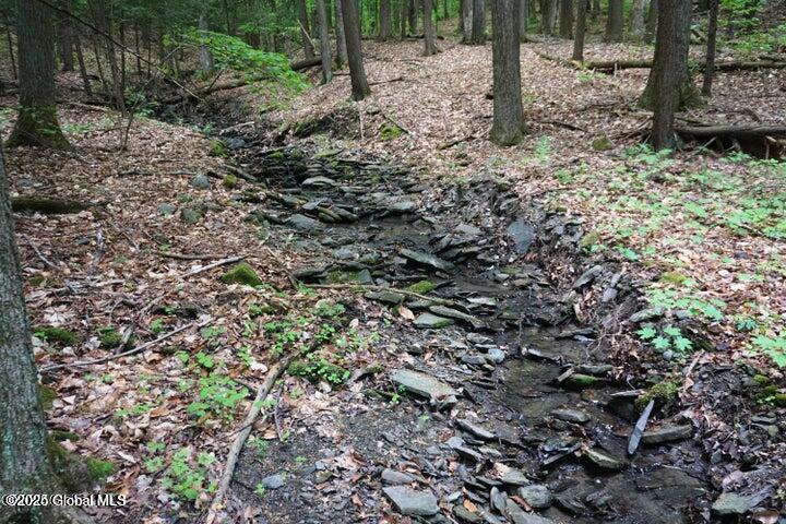 L26 W Fulton Road, Richmondville, New York image 8