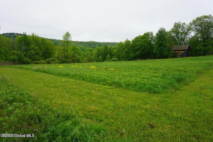 L26 W Fulton Road, Richmondville, New York image 12