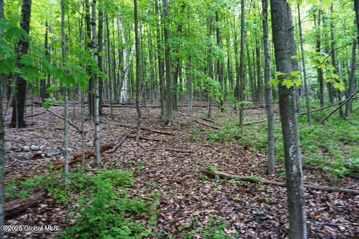 L26 W Fulton Road, Richmondville, New York image 6