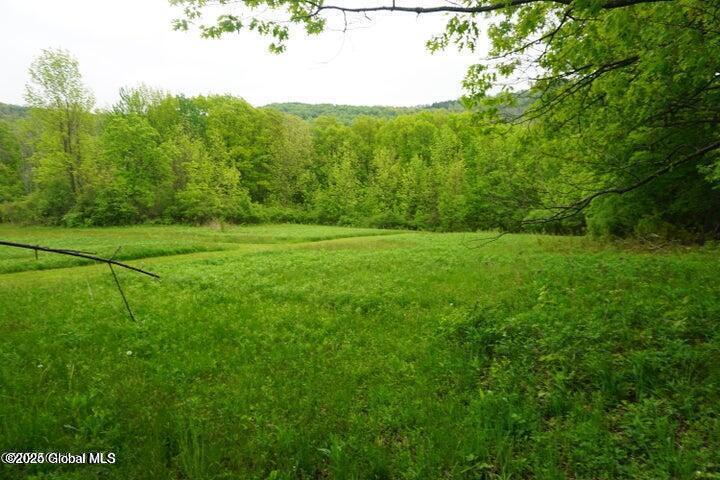 L26 W Fulton Road, Richmondville, New York image 13