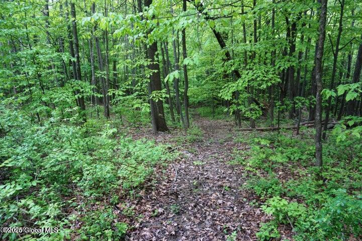 L26 W Fulton Road, Richmondville, New York image 10