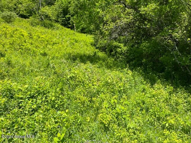 102 Rydell Road, Middleburgh, New York image 4