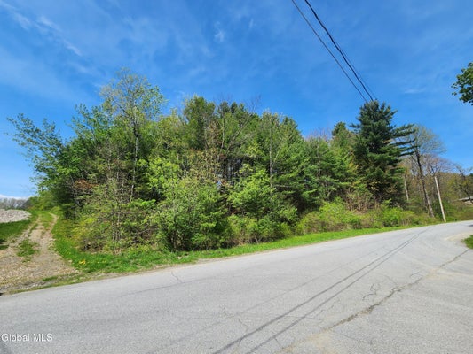 21 STERUP DR, TROY, NY 12180 - Image bbaaa47989c7d31dfefb07e076f1920b/3874568209