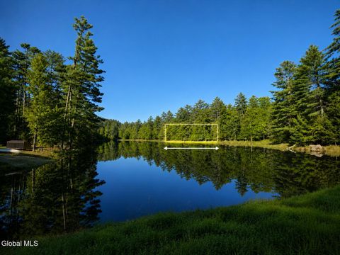 Vacant Land For Sale - L6 Clearwater Lake Road<br/> Brant Lake, NY 12815