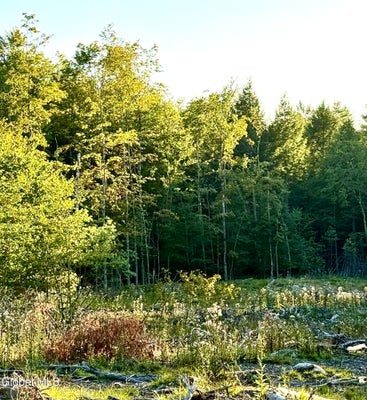 342 DICKINSON HILL RD, DIAMOND POINT, NY 12824 - Image bc2db32900b0637b68d1f2eef8a0f2ee/2080970072
