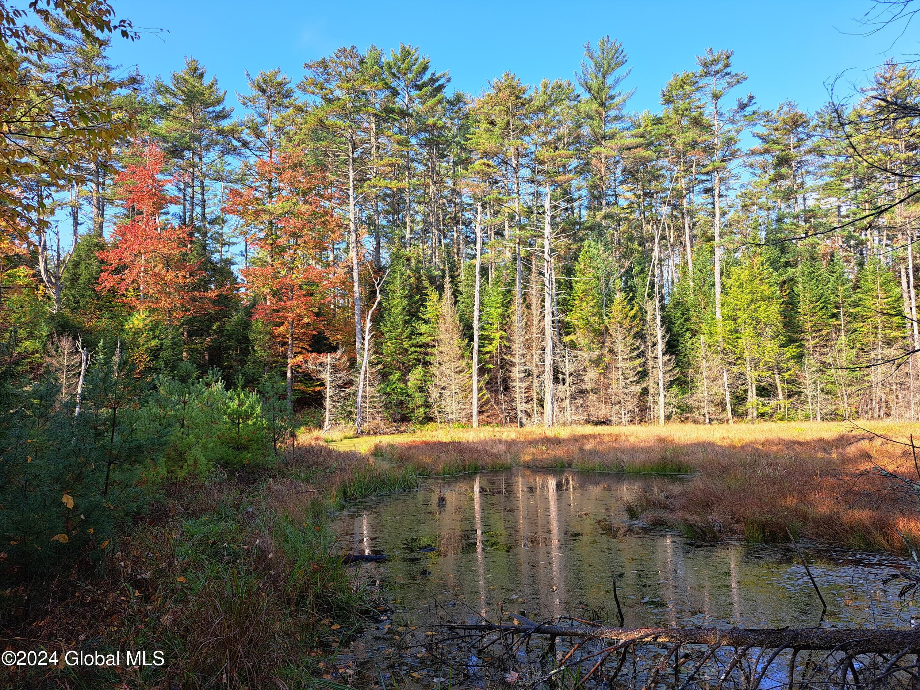 L9 Atateka Road, Chestertown, New York image 10