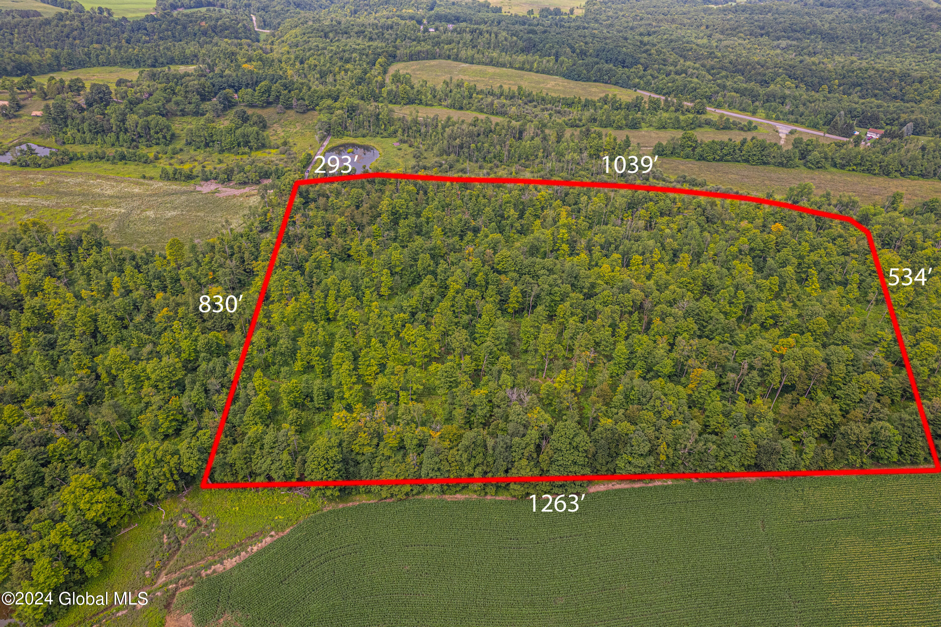 70 Robinson Road #LOT A, Mohawk, New York image 1