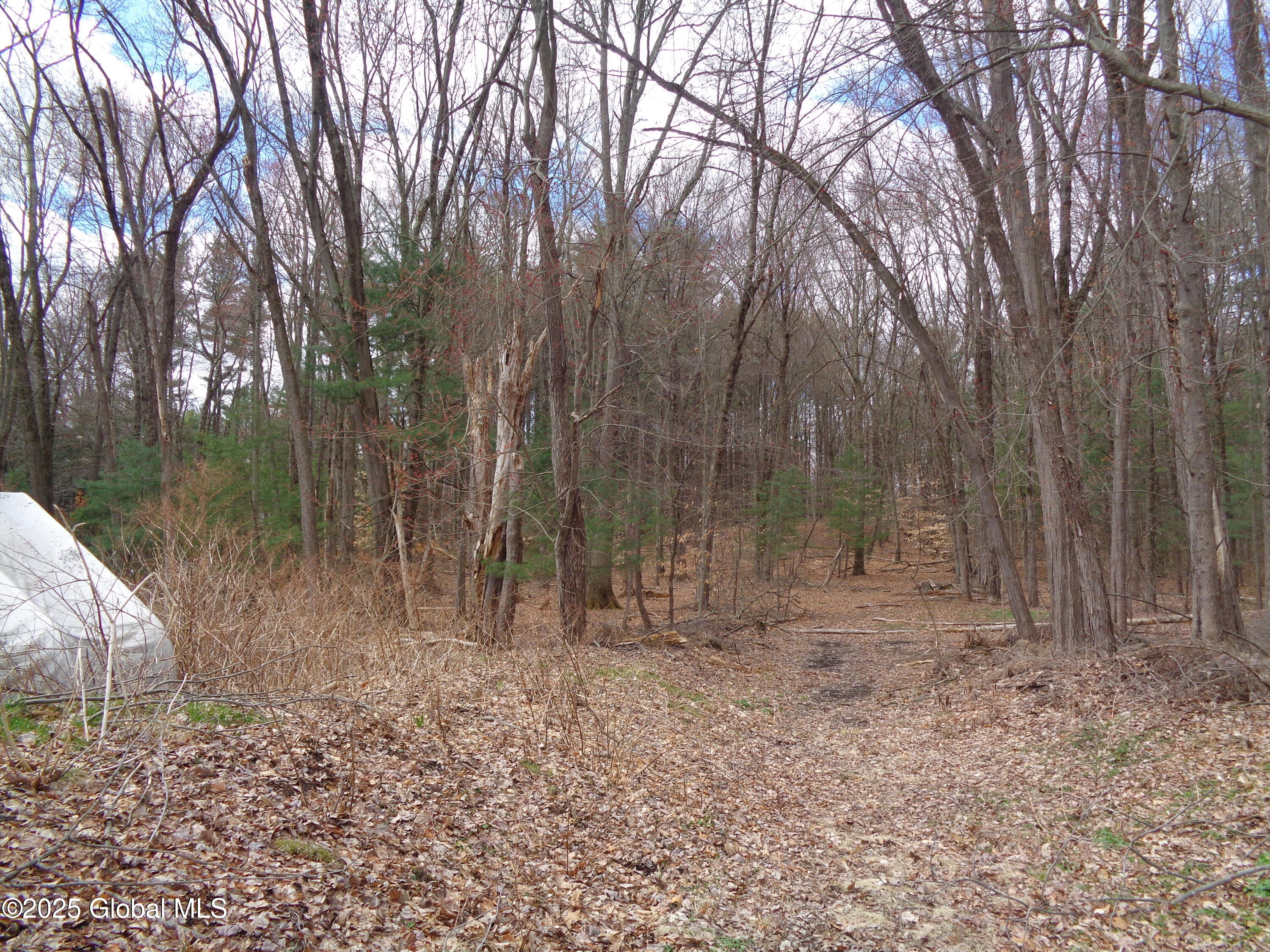 L17.12 Helderberg Avenue