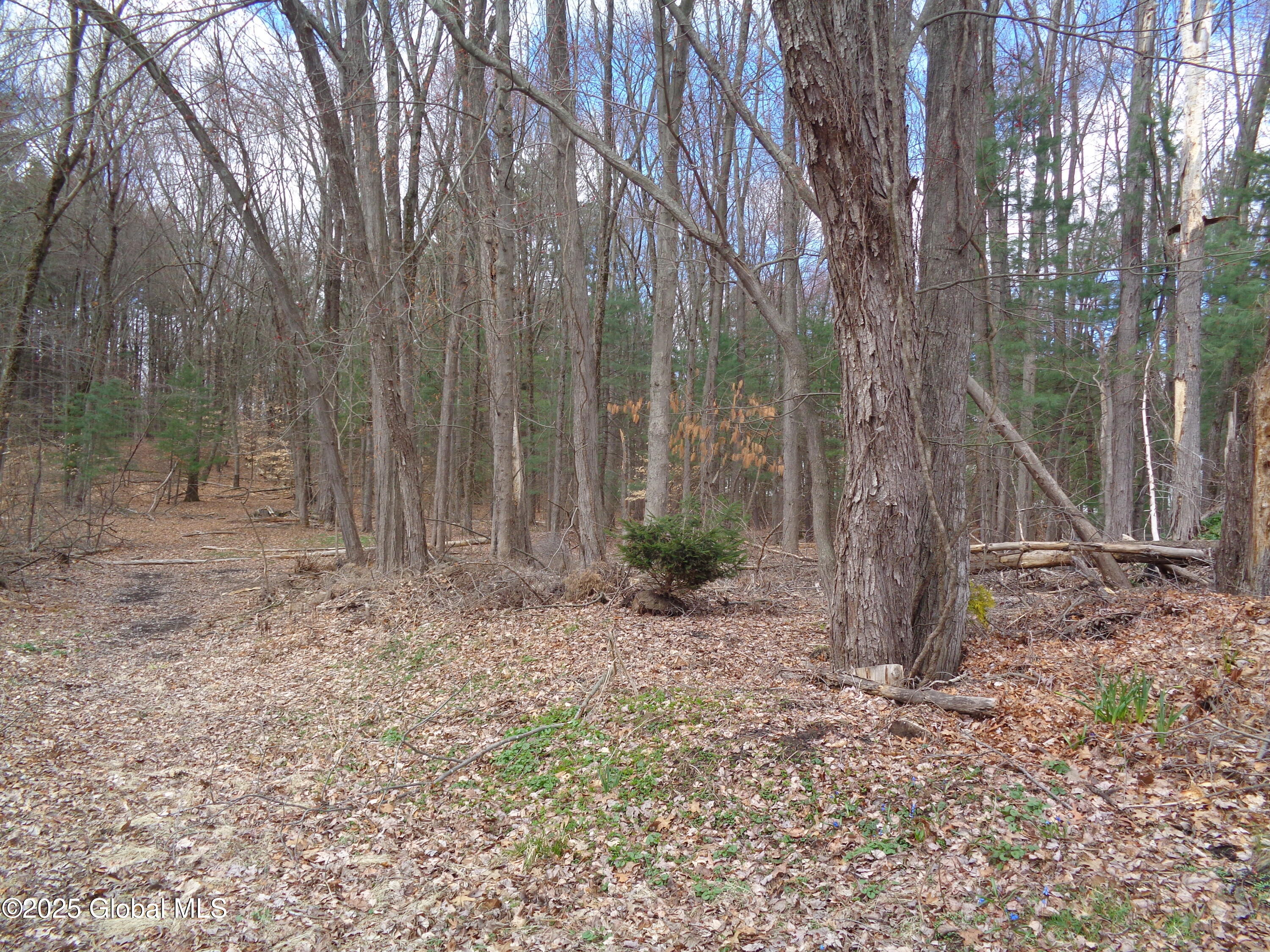 L17.12 Helderberg Avenue