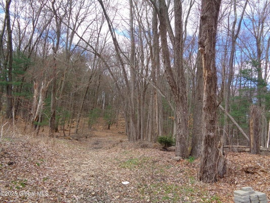 L17.12 HELDERBERG AVENUE, SCHENECTADY, NY 12306 - Image be29e4e3a121e888d80efffa29f266a9/4266359351