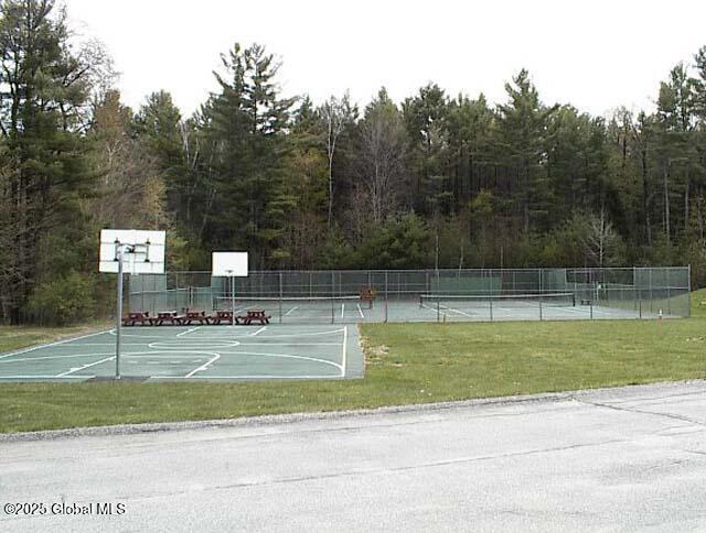 11-A Hummingbird Circle, Adirondack, New York image 35