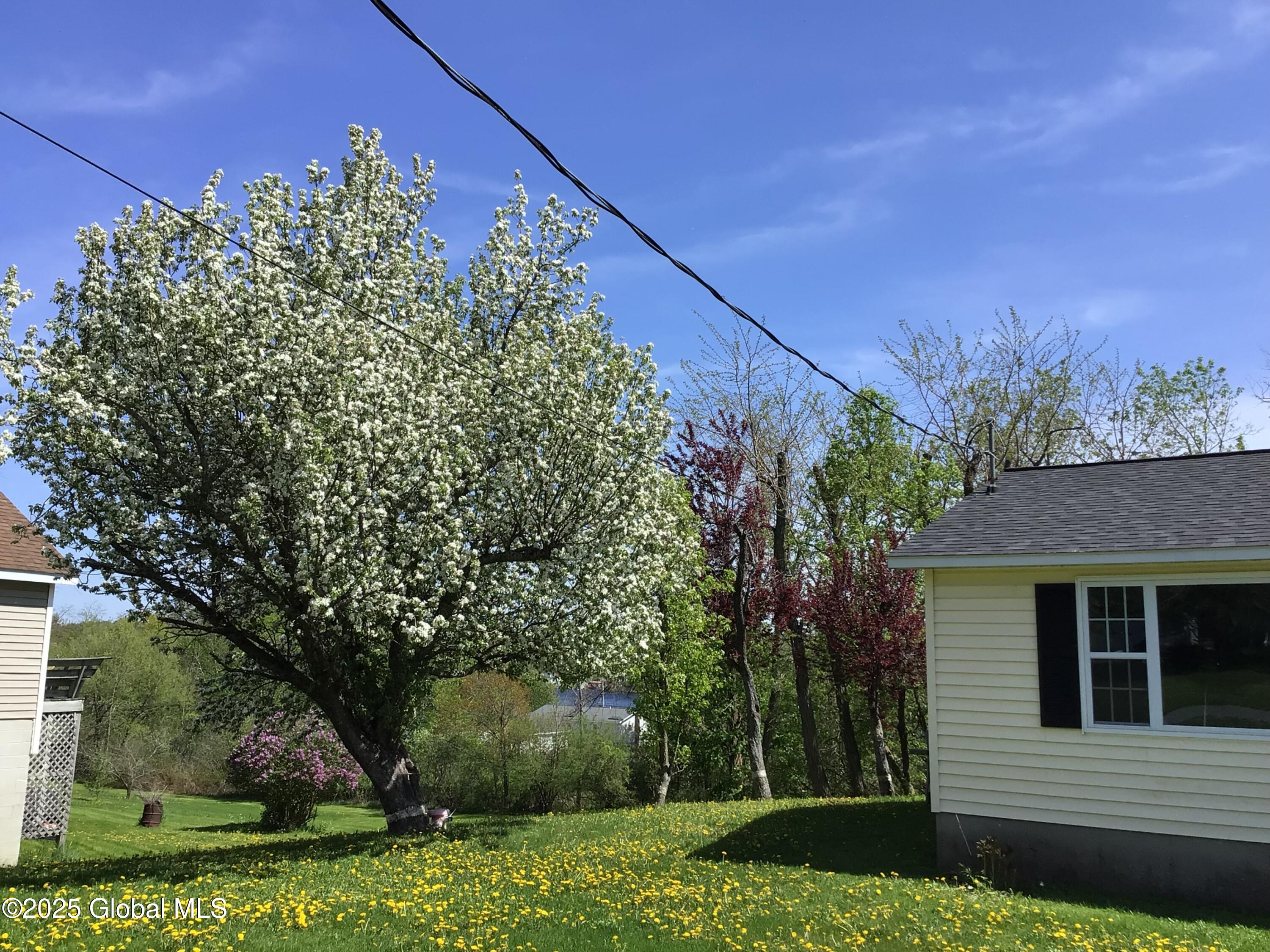 126 Hillside Road, Pattersonville, New York image 3