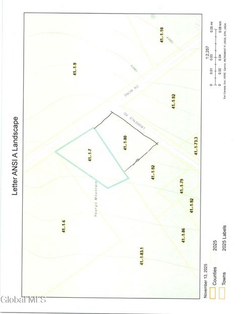 Vacant Land For Sale - 319 Snow Rd Road<br/> Hadley, NY 12835