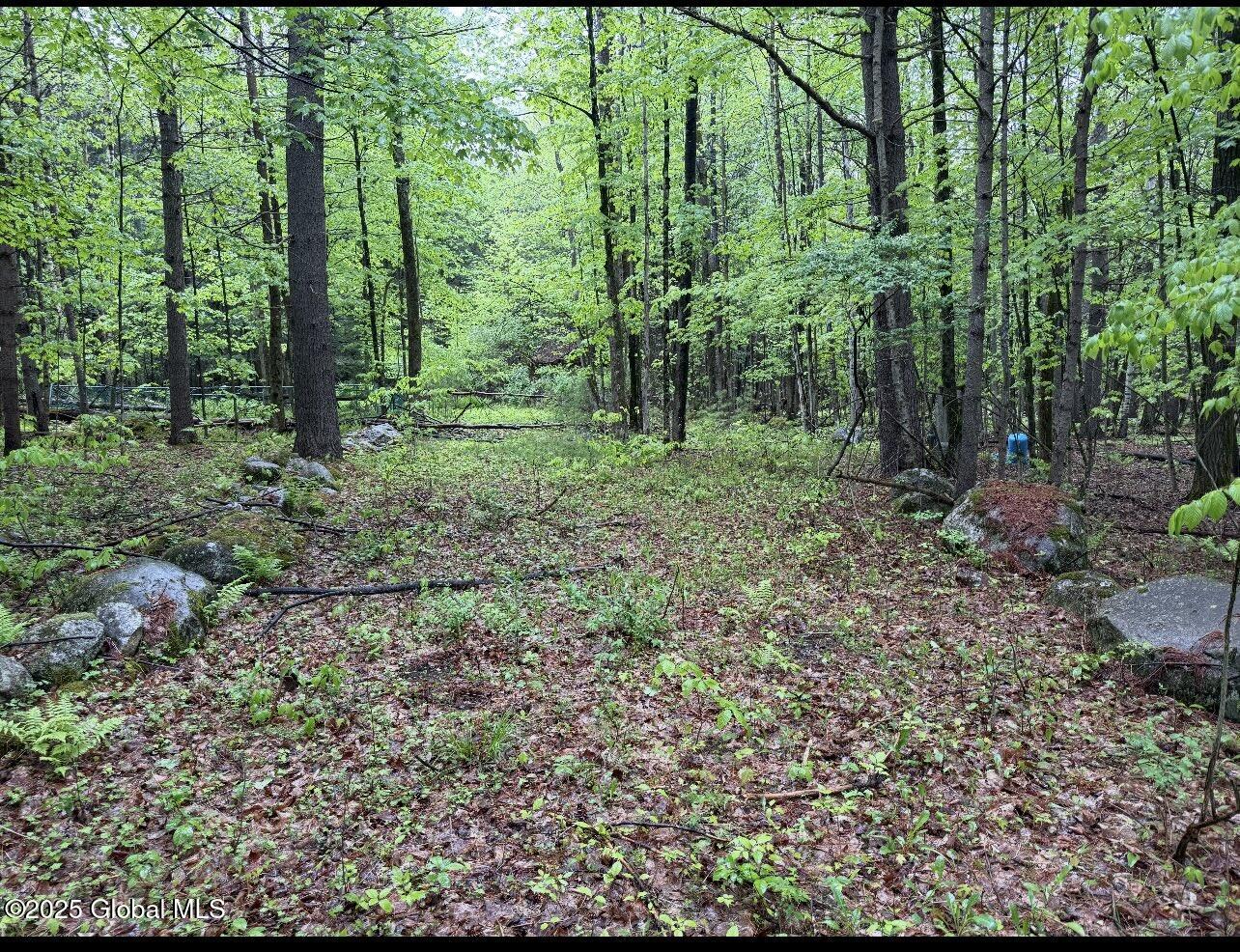 24 Tannery Lane, Hague, New York image 6