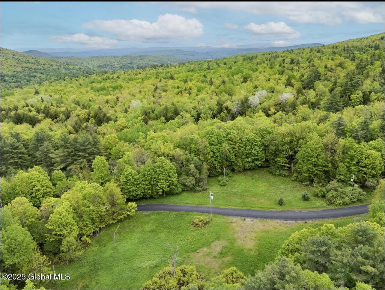 24 Tannery Lane, Hague, New York image 4