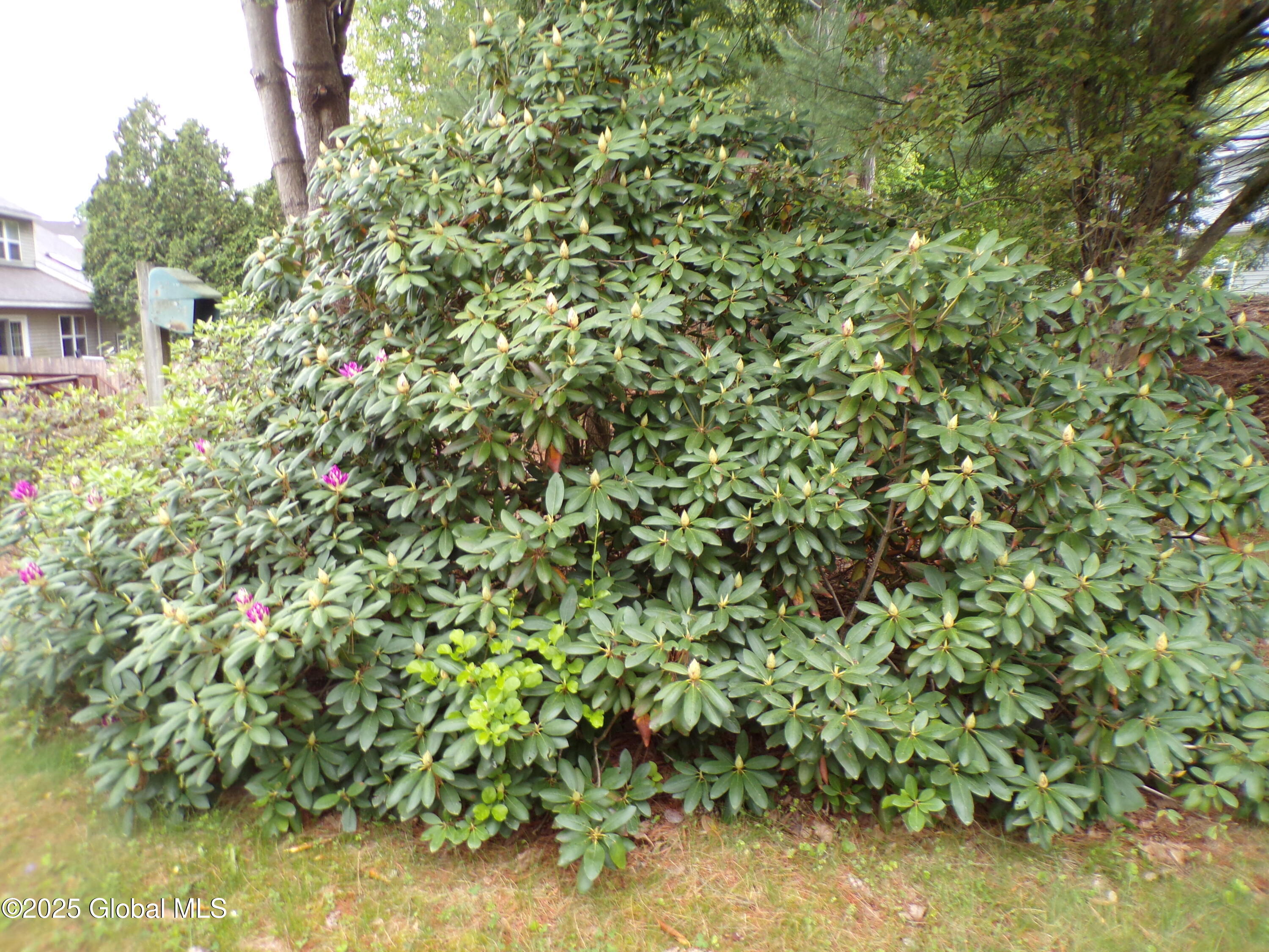 72 Old Mill Lane, Queensbury, New York image 13