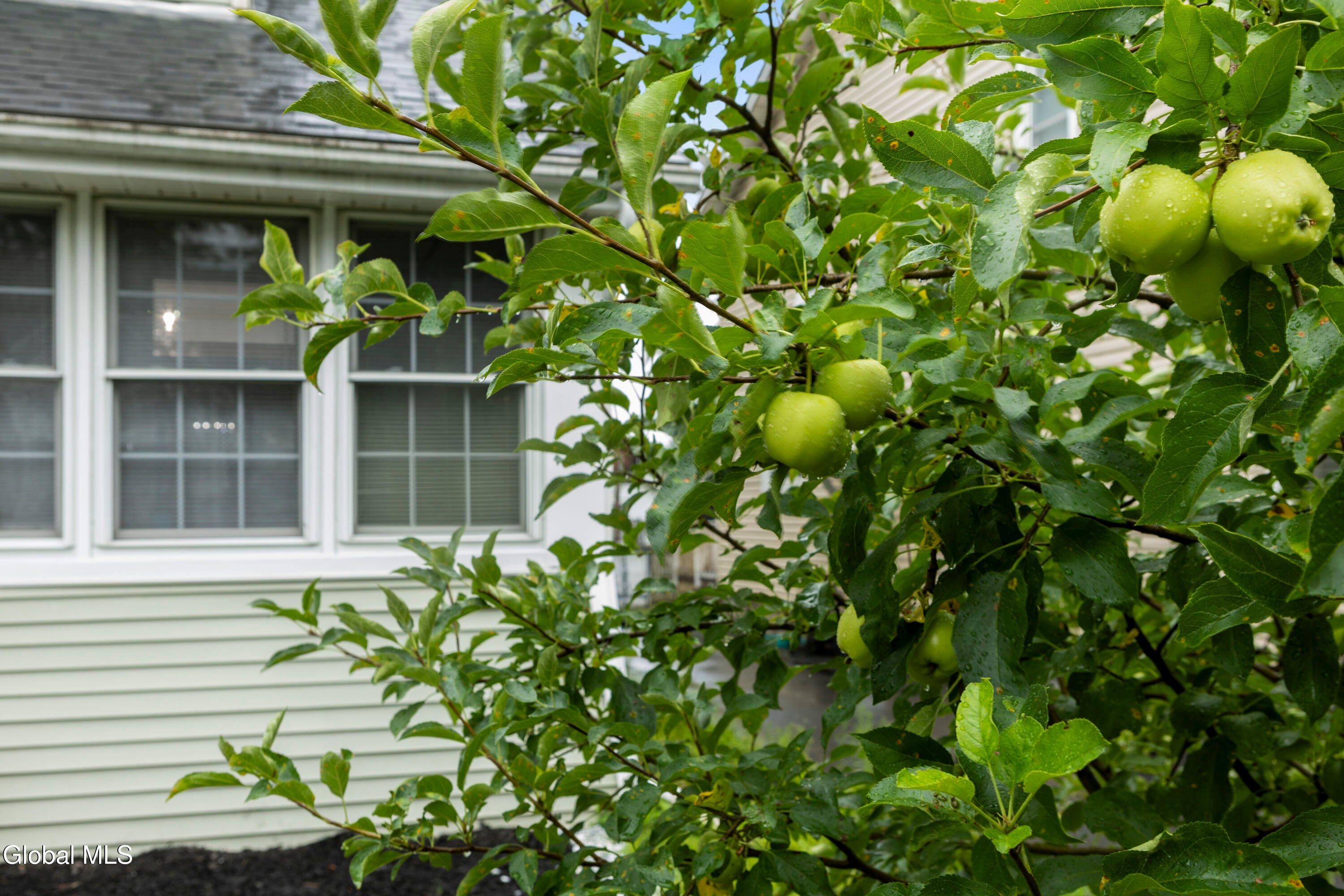 4 Maplewood Avenue