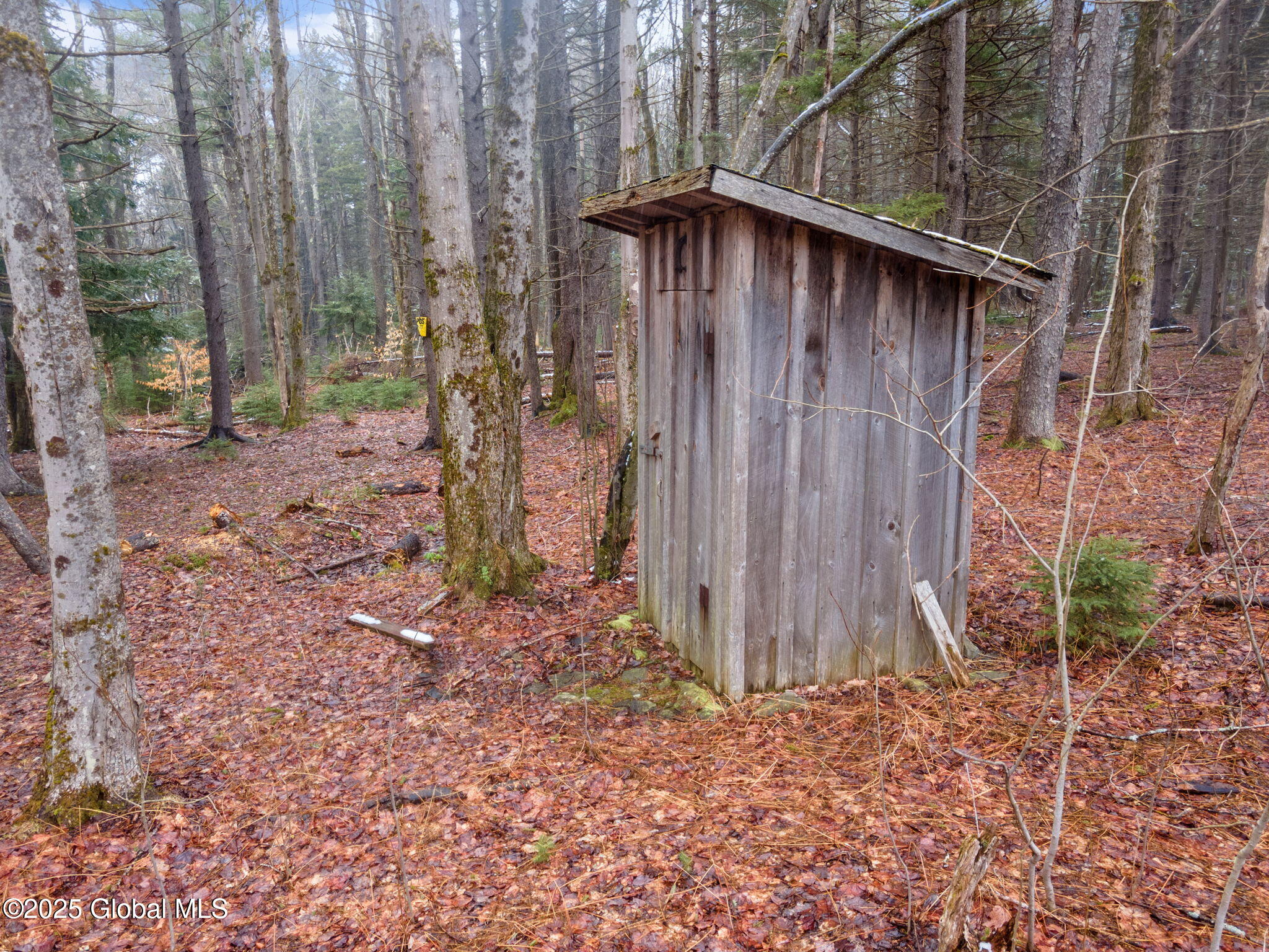154 Forest Lane, Jefferson, New York image 50