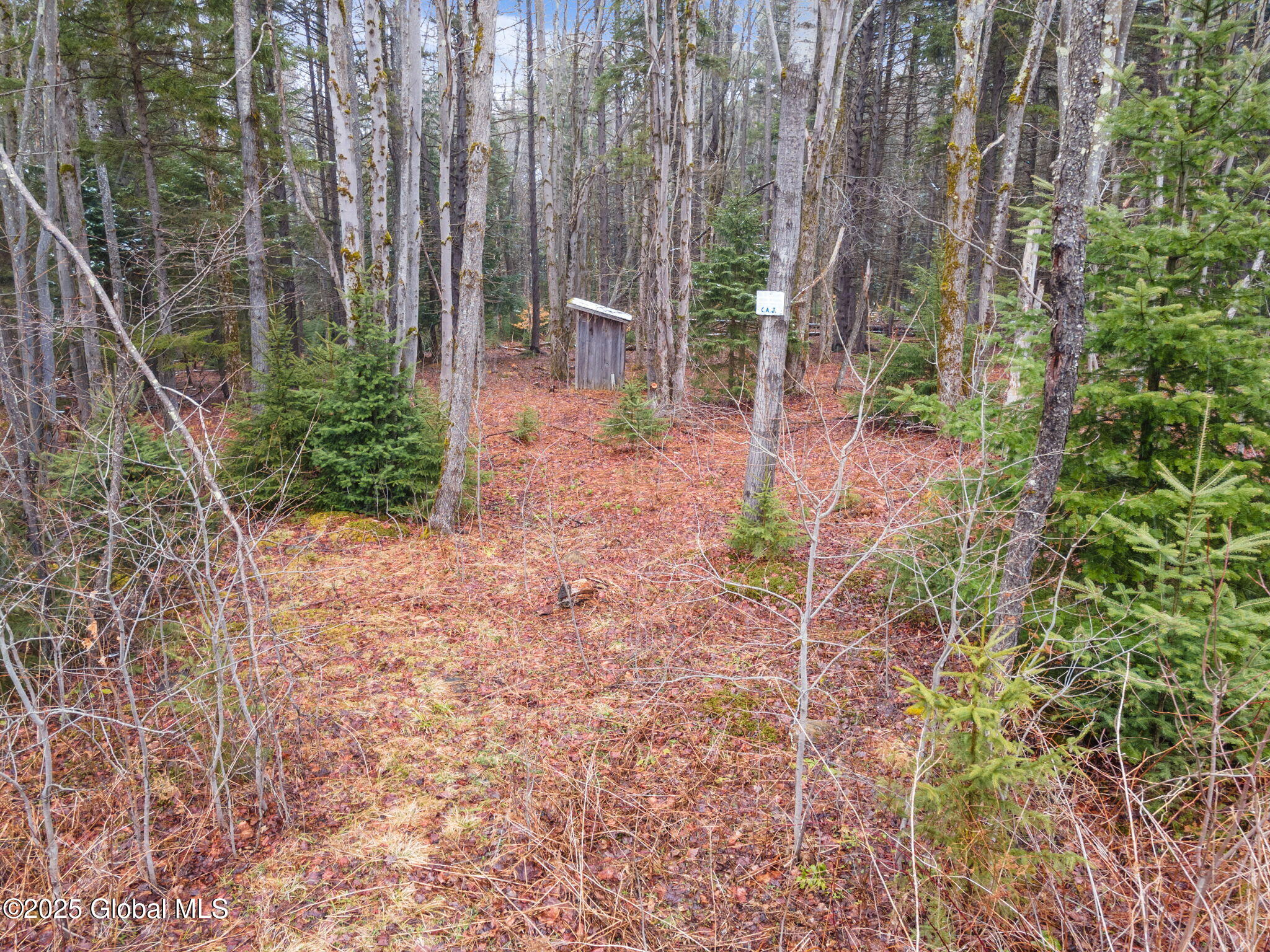 154 Forest Lane, Jefferson, New York image 49