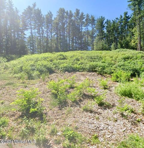 Photo of 5 Woodview Court, Ballston Lake, NY 12019 (MLS # 202620848)