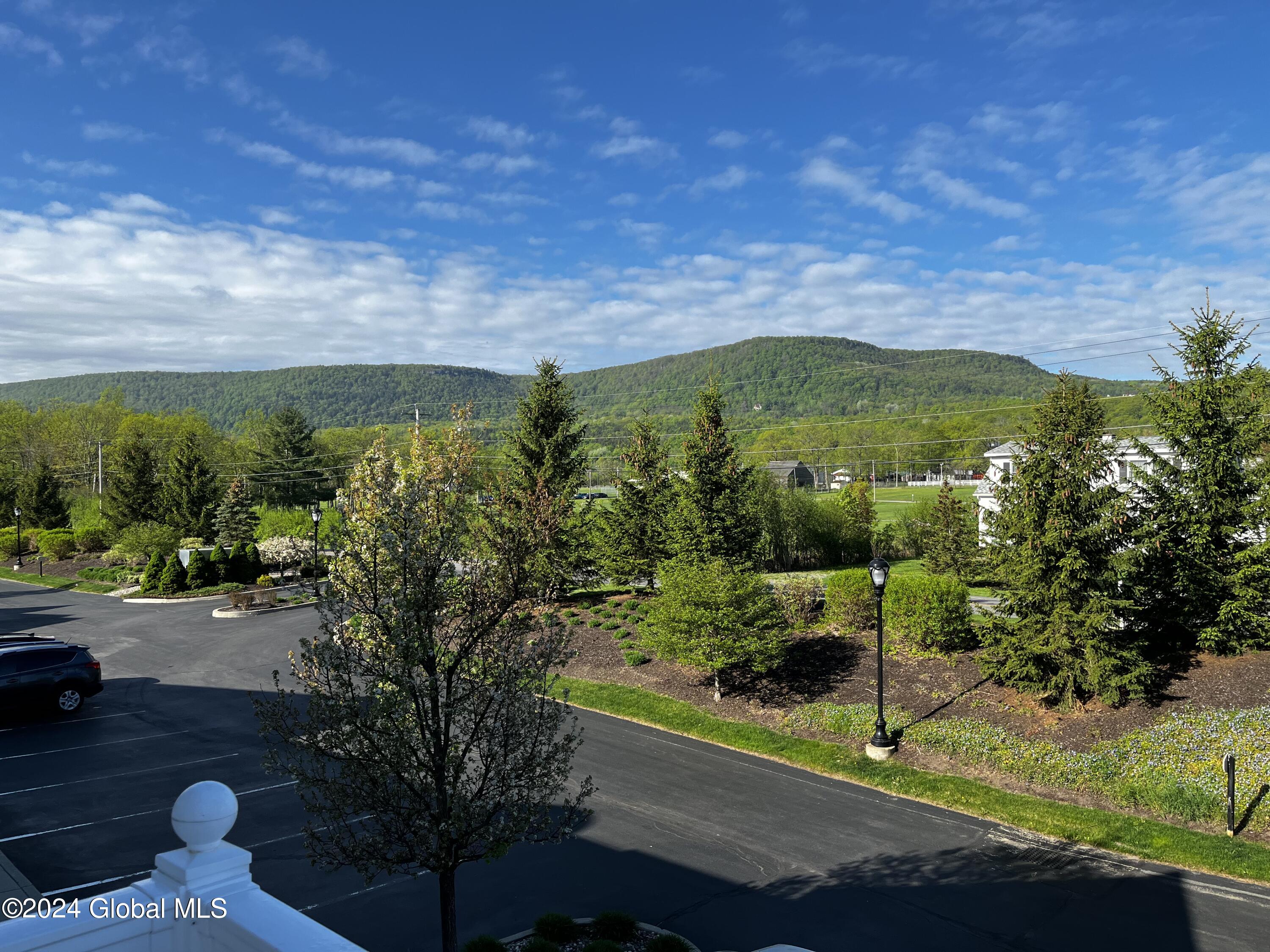 701 Heather Lane #701, Guilderland, New York image 40