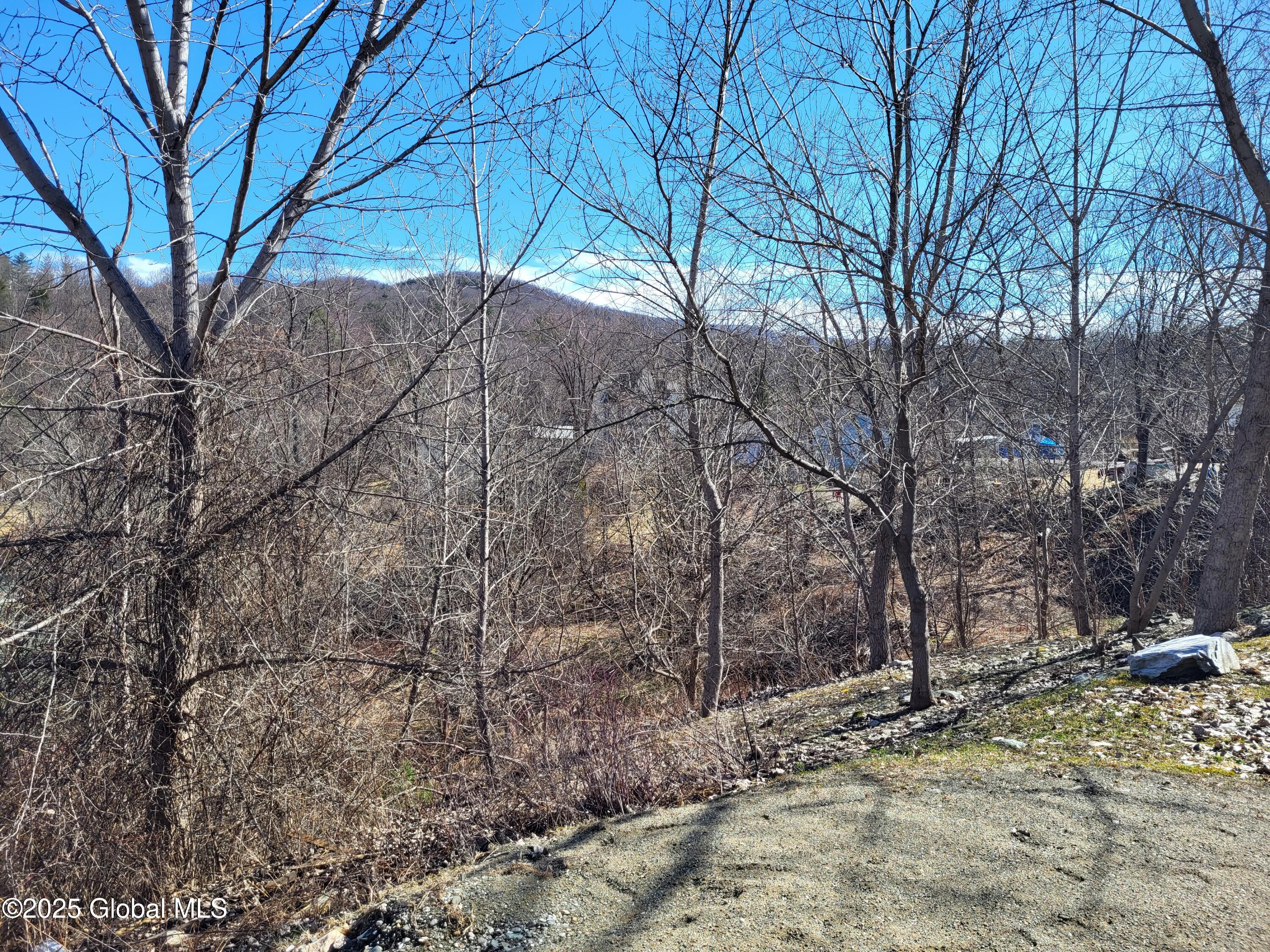 Petersburgh, New York 12138, United States, 5 Bedrooms Bedrooms, ,3 BathroomsBathrooms,Residential,Active,90884