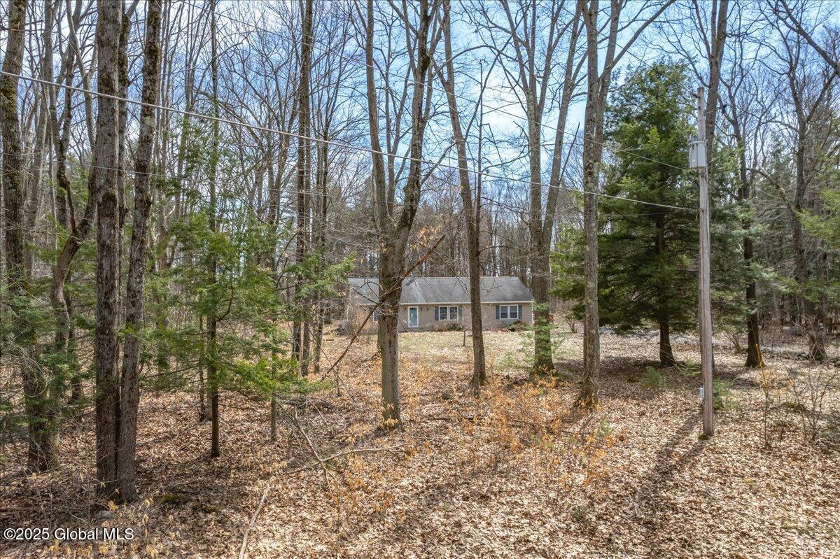 32 Lady Slipper Lane, Porter Corners, New York image 39