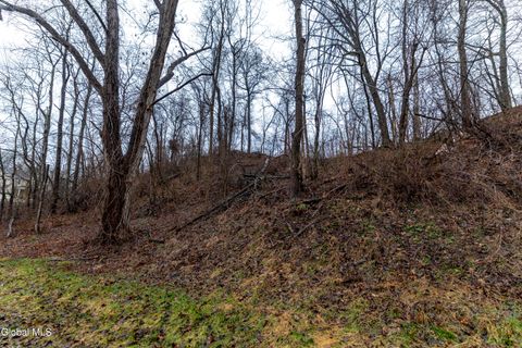 Vacant Land For Sale - 94 Briar Avenue<br/> Albany County, Albany, NY 12203