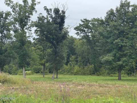Vacant Land For Sale - L 27.2 Route 32n<br/> Saratoga County, Gansevoort, NY 12831