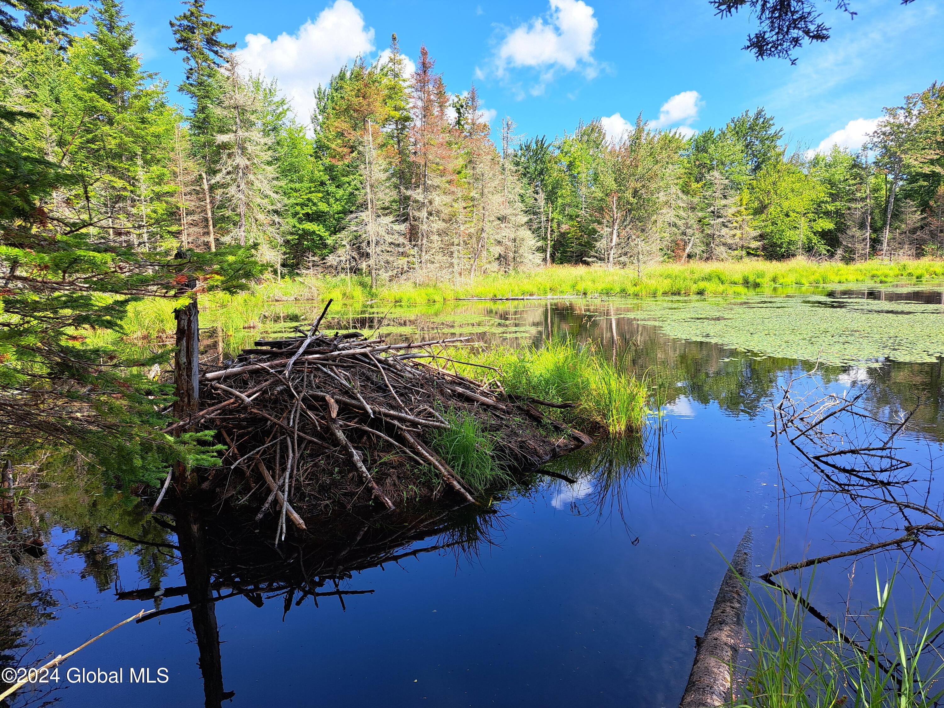 231 Mud Pond Road, Peru, New York image 7