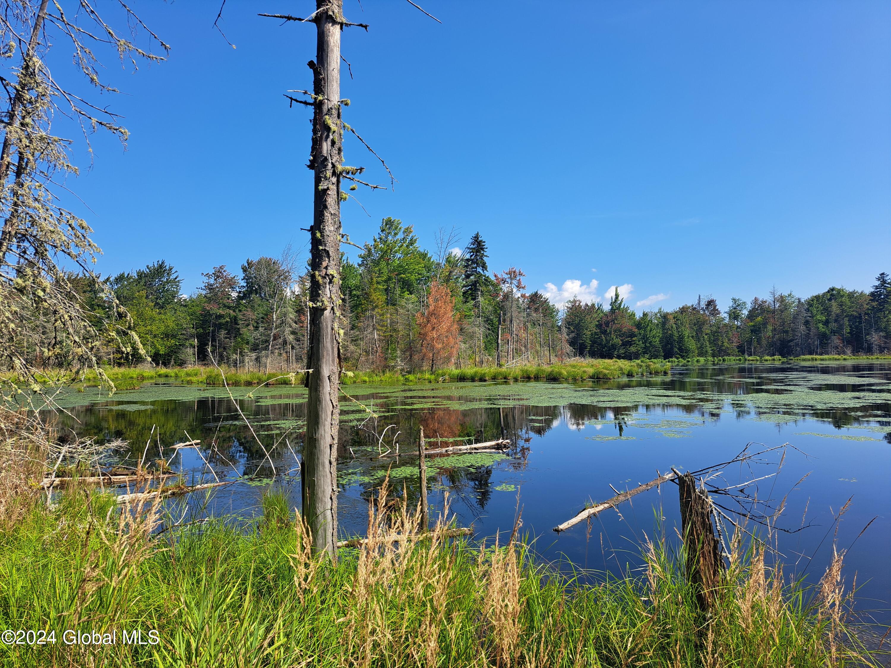 231 Mud Pond Road, Peru, New York image 46