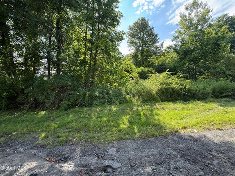 Vacant Land For Sale - 37 Wilson Street<br/> Fulton County, Gloversville, NY 12078