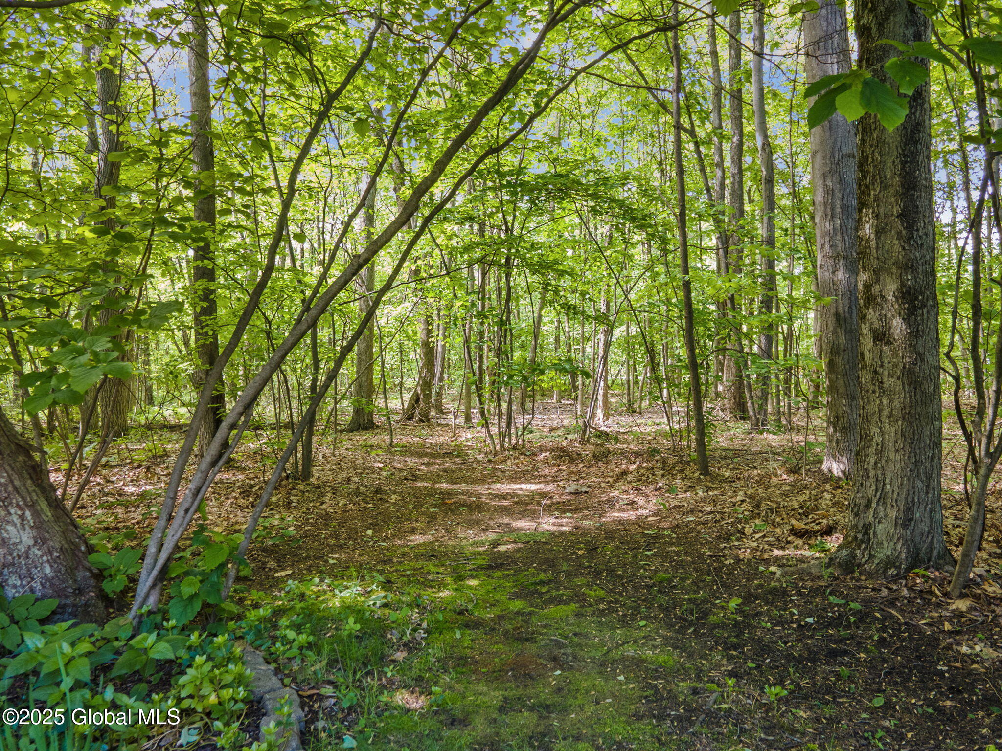 30 Sycamore Street, Ballston Lake, New York image 47
