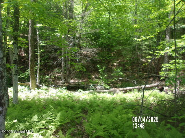 428 Bartman Road, Bakers Mills, New York image 15