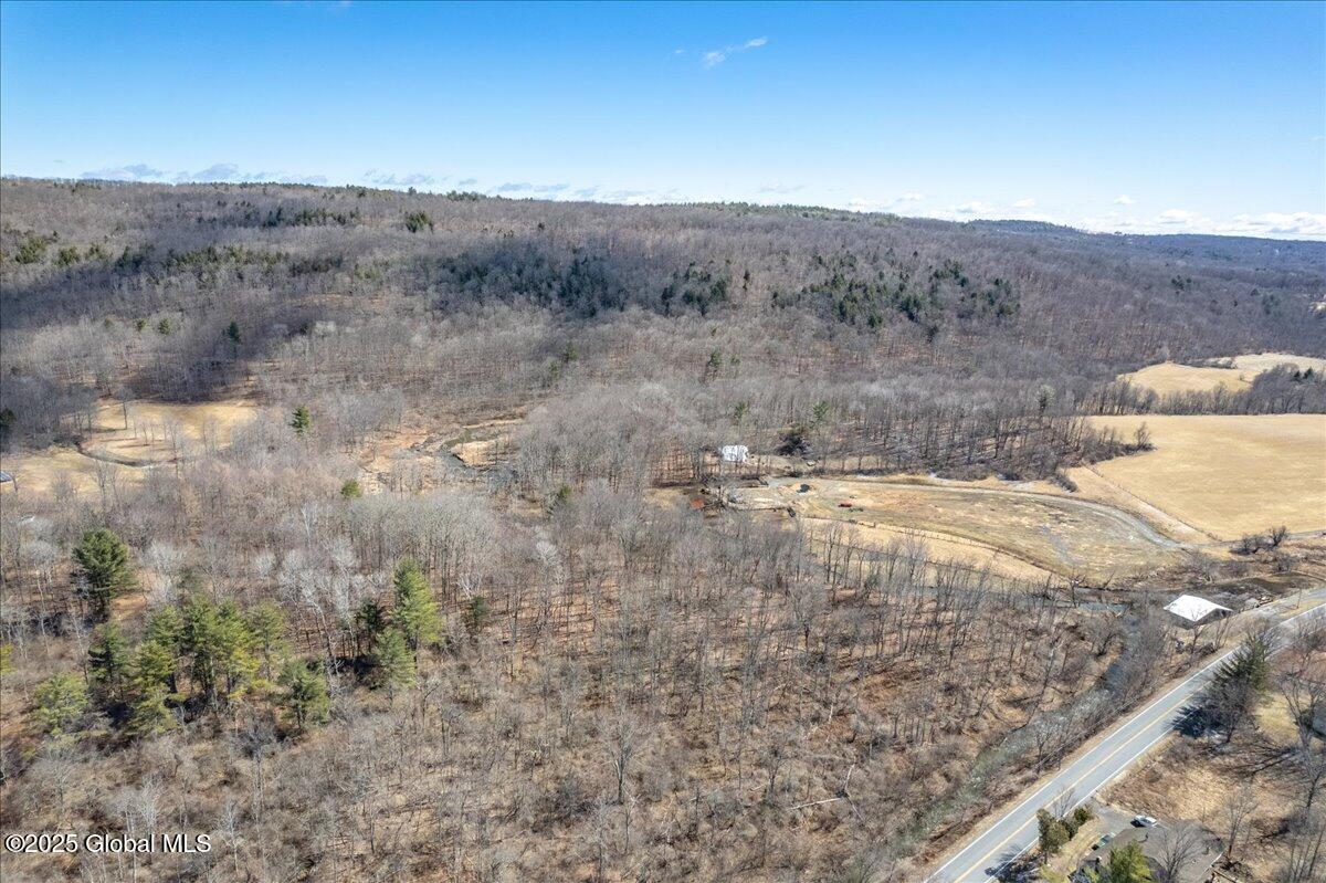 1180 Switzkill Road, Berne, New York image 11