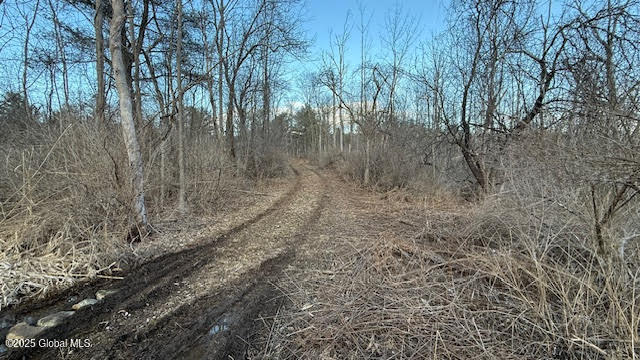 1180 Switzkill Road, Berne, New York image 3