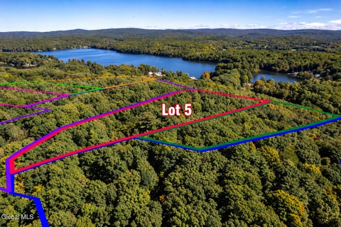 Photo of L5 Burden Lake Road Road #180.-4-43.1, Sand Lake, NY 12018 (MLS # 202627012)