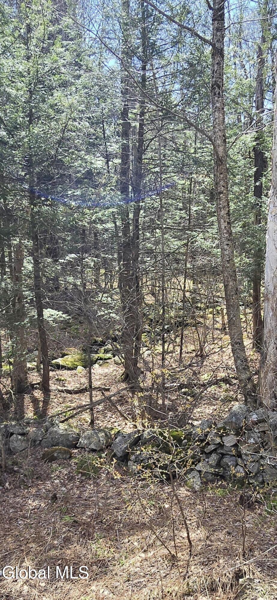 0 Jacobs Ladder Road