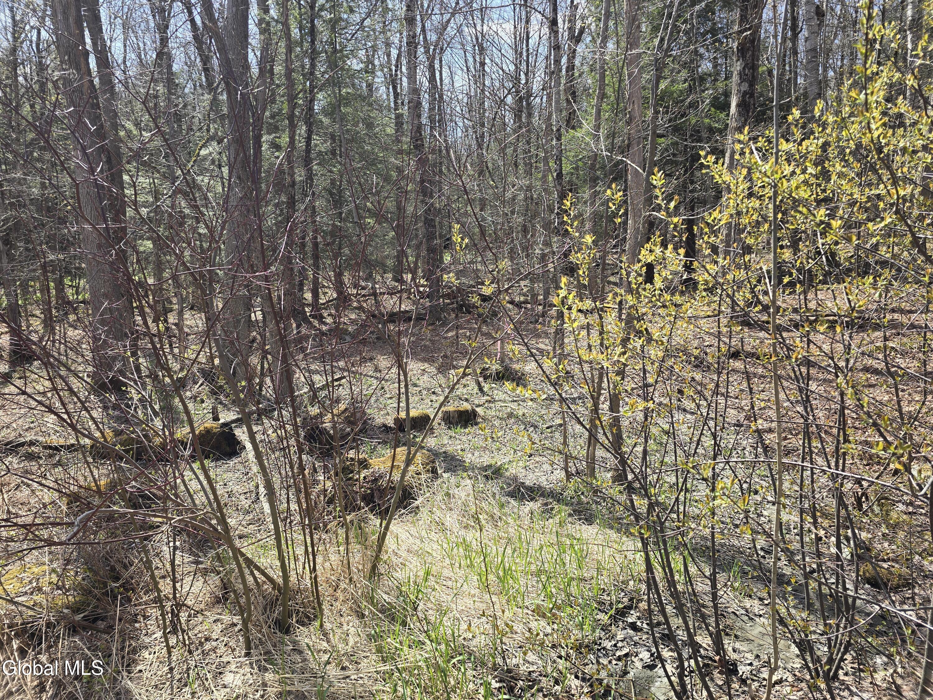 0 Jacobs Ladder Road