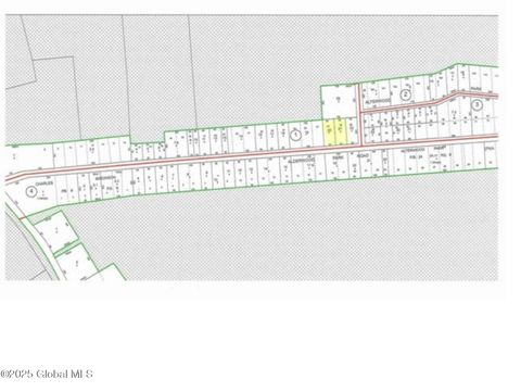 Vacant Land For Sale - L20.5 Alderwood Park Road<br/> Caroga Lake, NY 12032