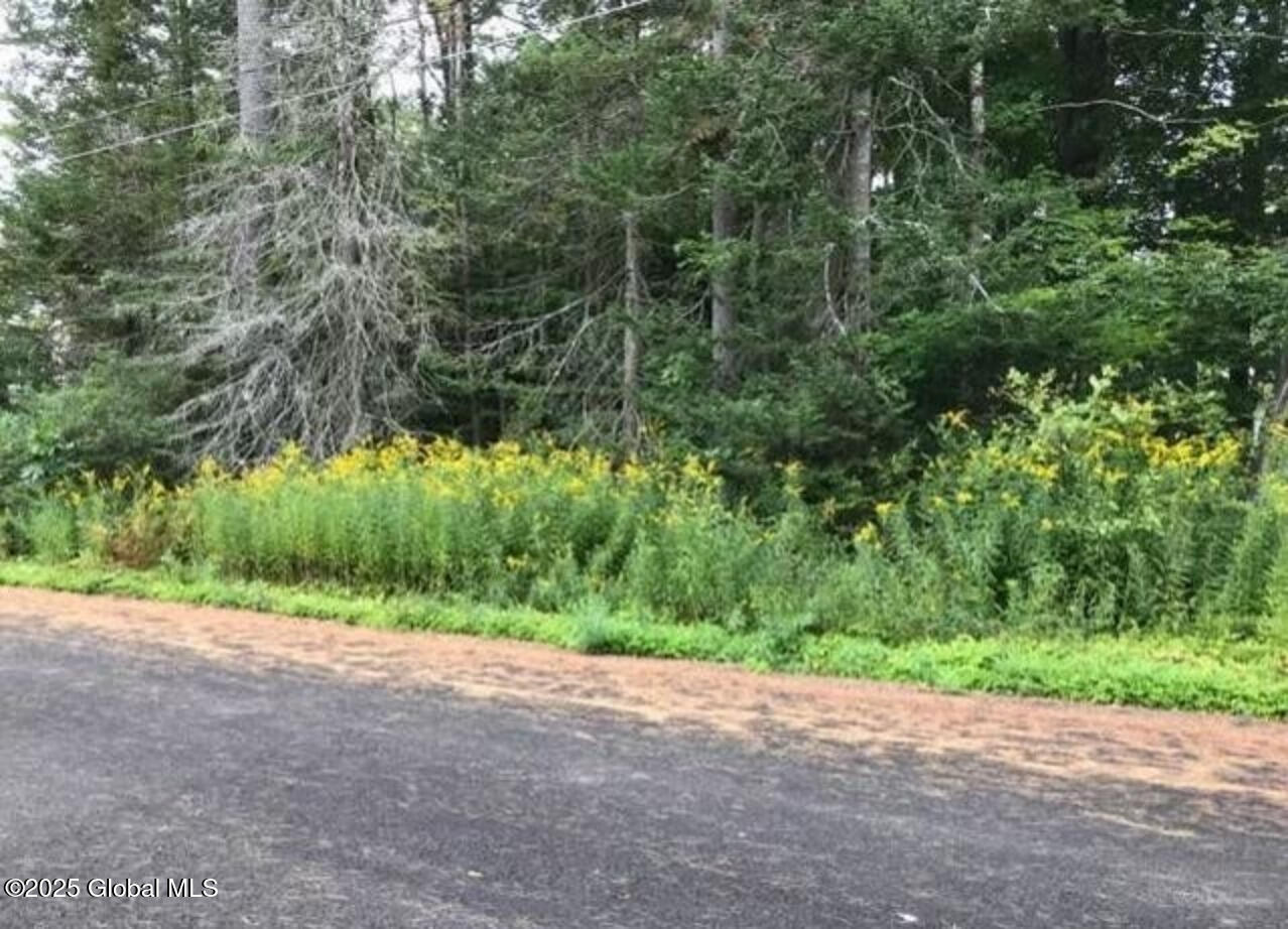 L20.5 Alderwood Park Road, Caroga Lake, New York image 2