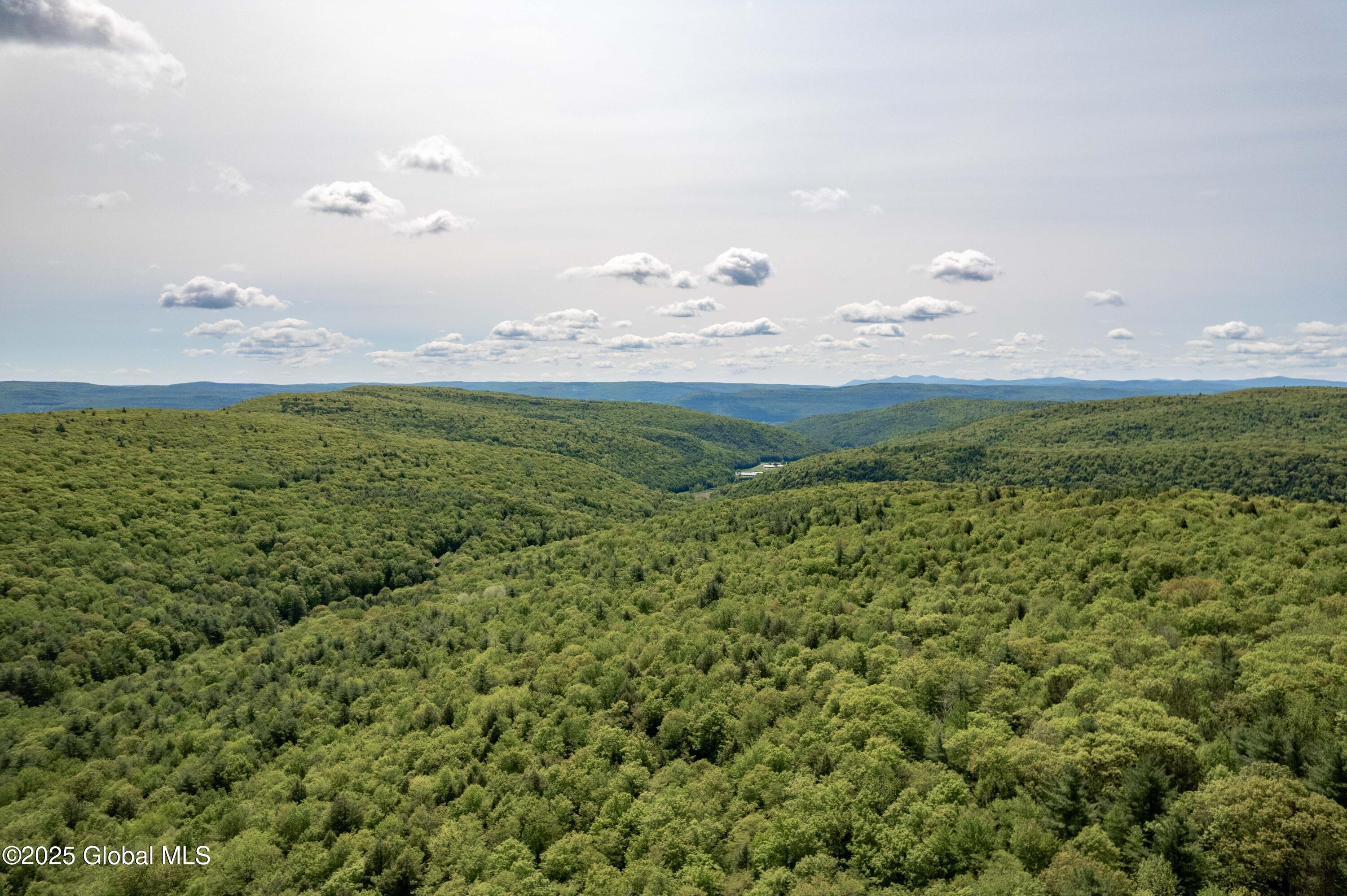 1219 Mill Valley Road, Middleburgh, New York image 34