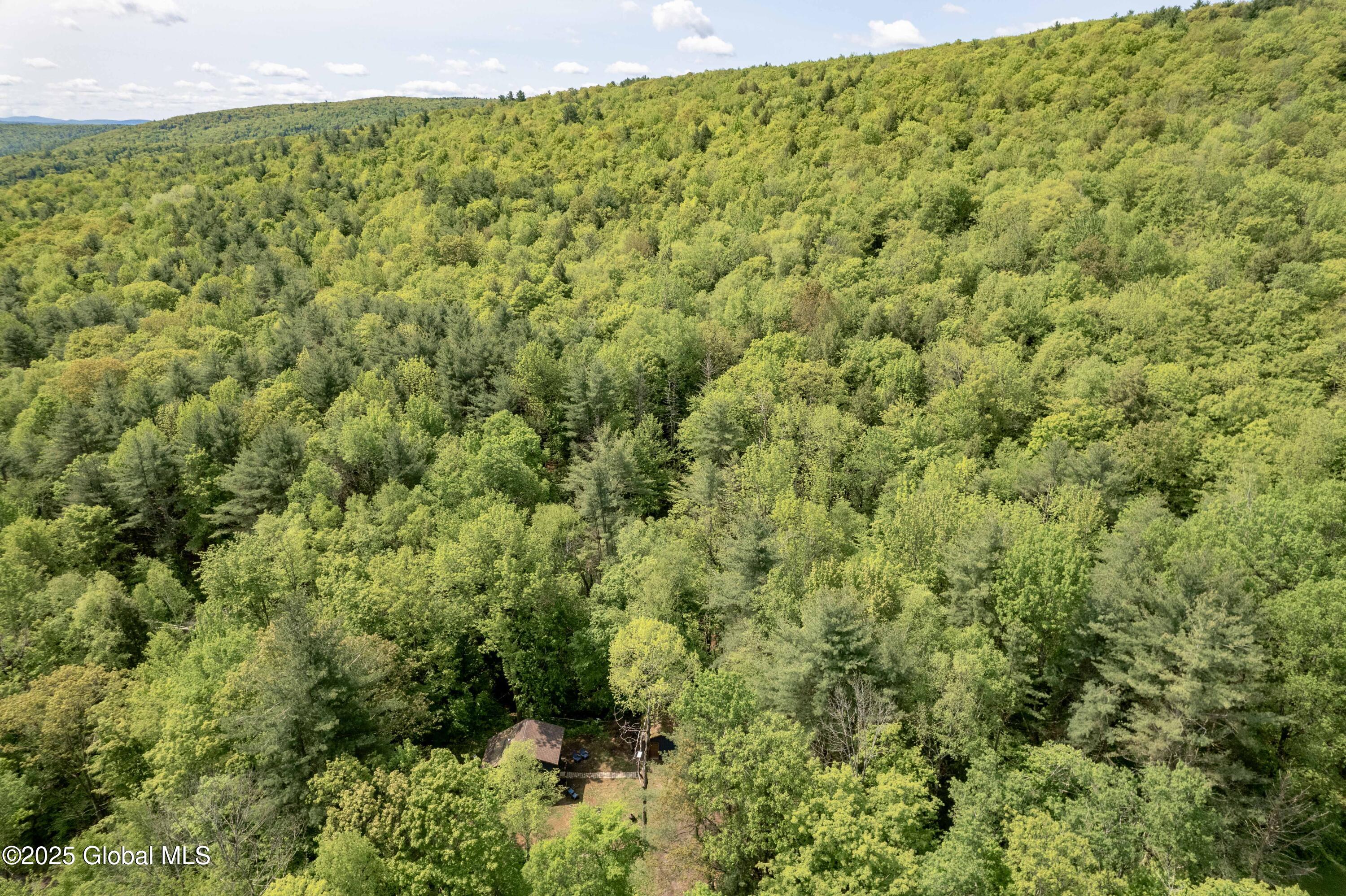 1219 Mill Valley Road, Middleburgh, New York image 27